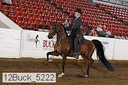 12buck_5222 proof