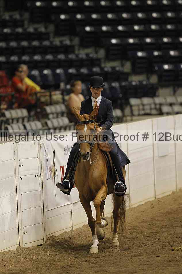 Proof 12buck_5224