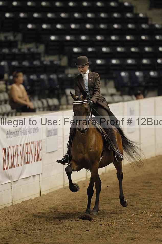 Proof 12buck_5226