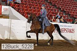 12buck_5228 proof