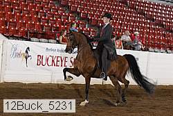 12buck_5231 proof