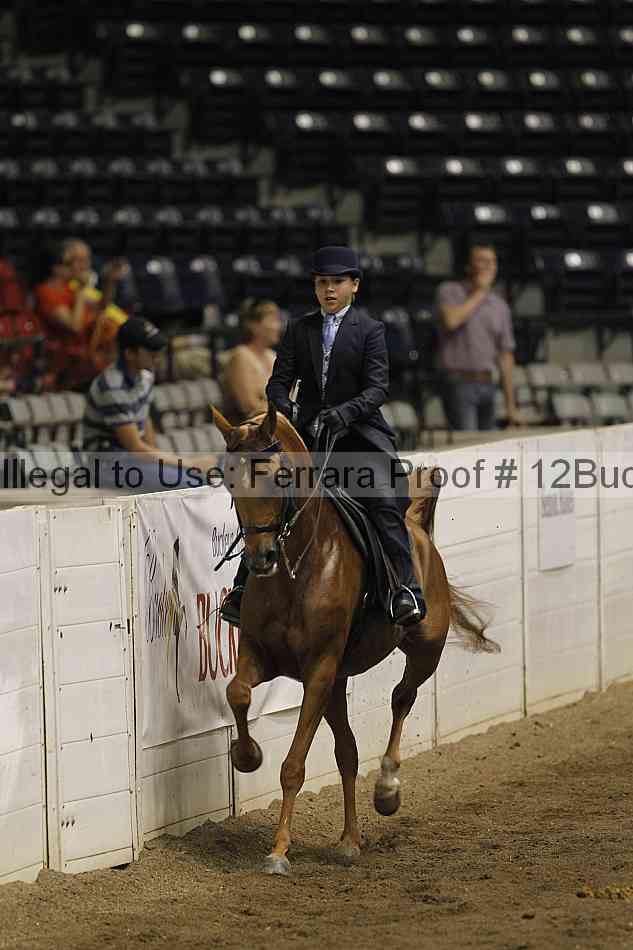 Proof 12buck_5234