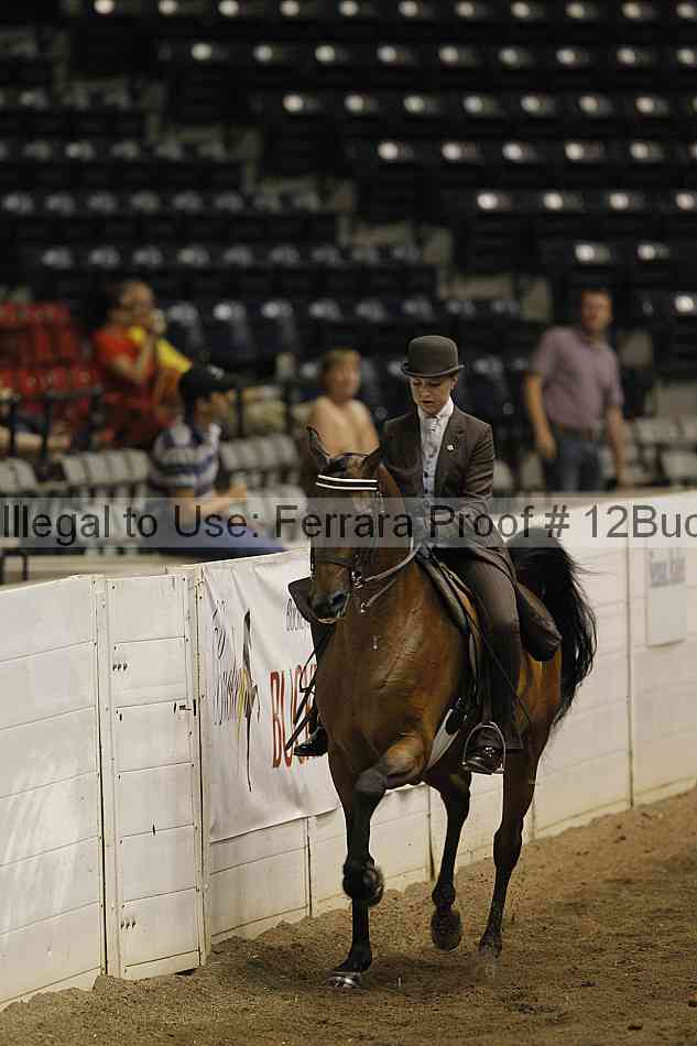 Proof 12buck_5235