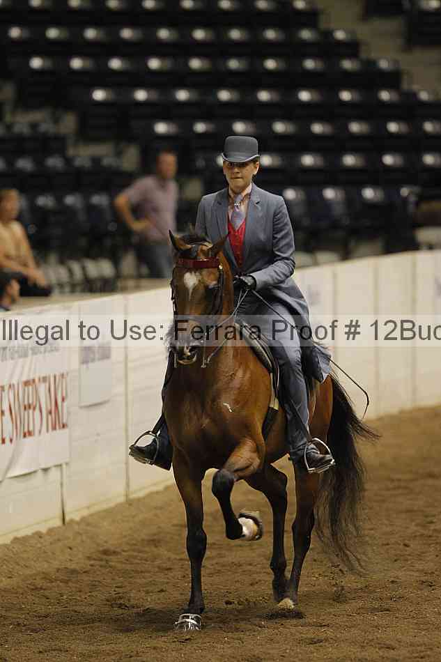 Proof 12buck_5236