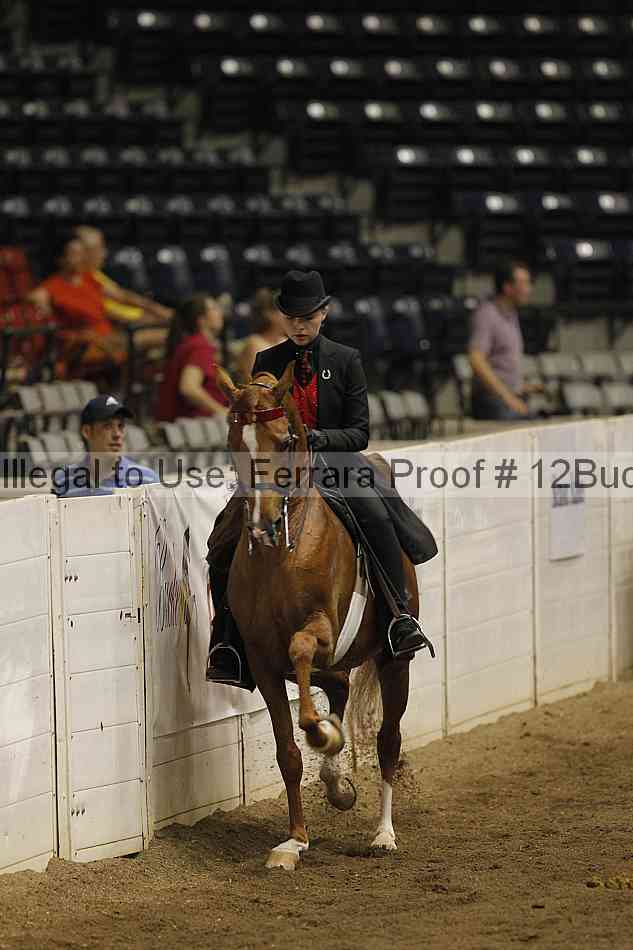Proof 12buck_5237