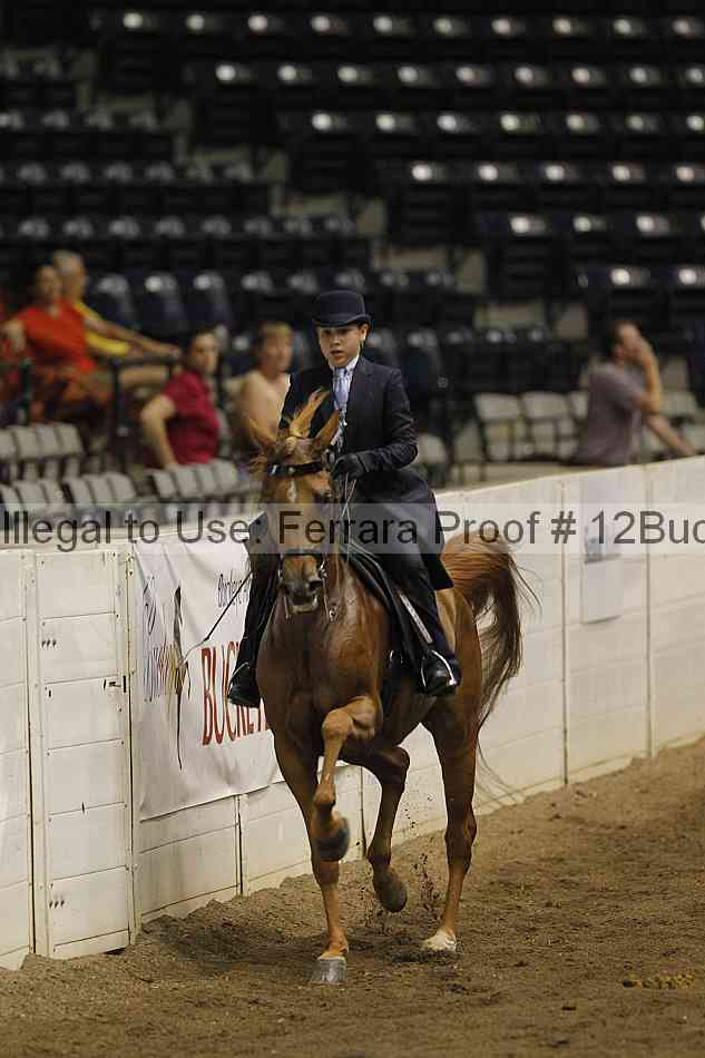 Proof 12buck_5239