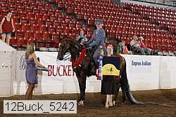 12buck_5242 proof