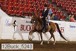 12buck_5243 proof