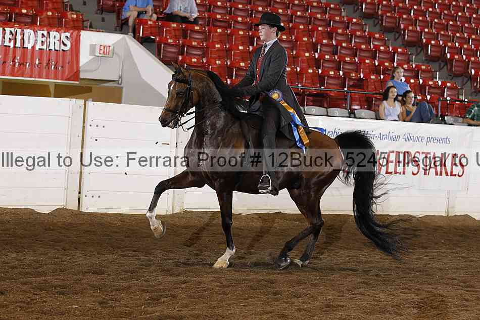 Proof 12buck_5245