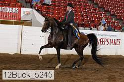 12buck_5245 proof