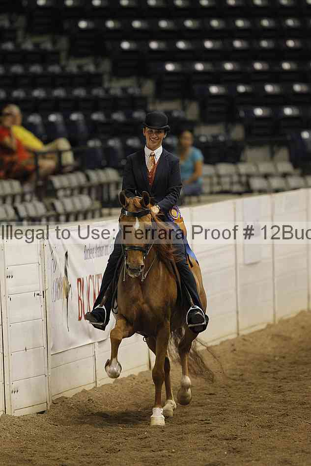 Proof 12buck_5249