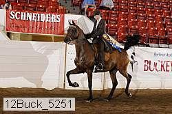 12buck_5251 proof