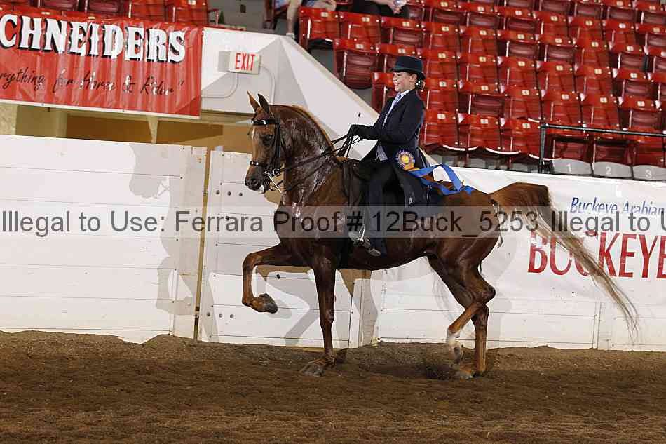 Proof 12buck_5253