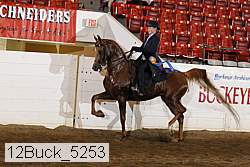 12buck_5253 proof