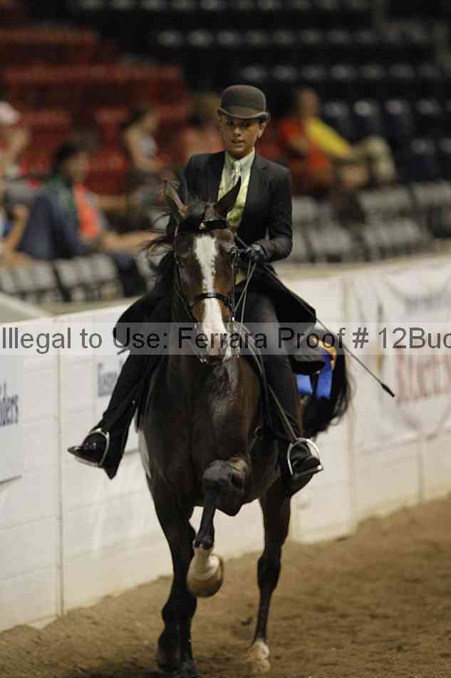 Proof 12buck_5258