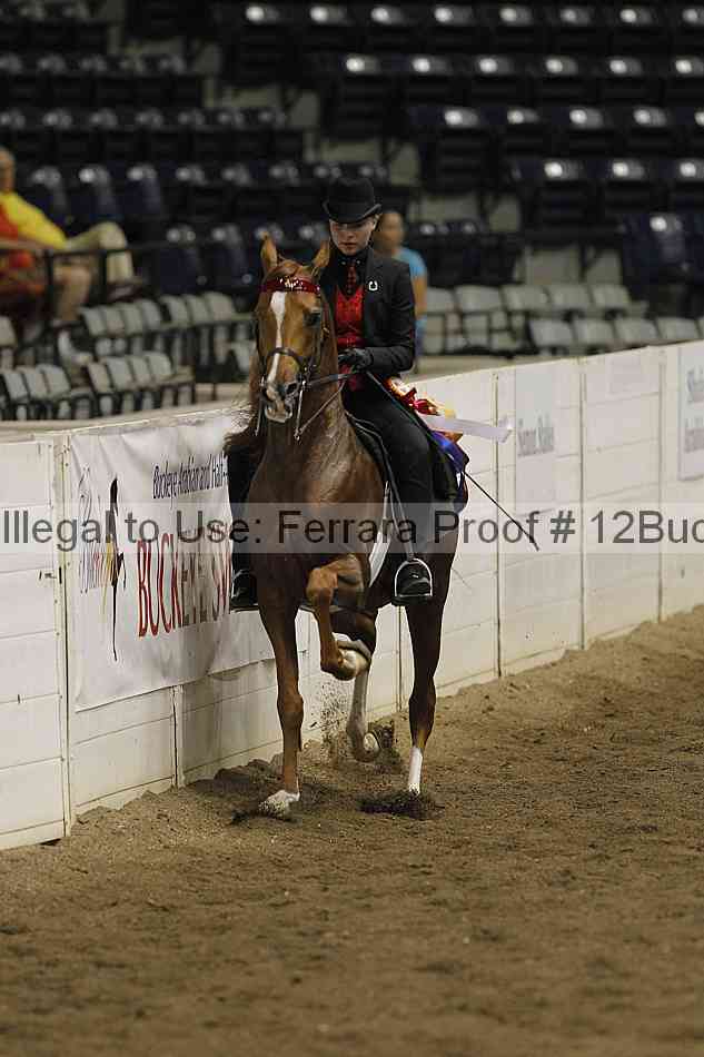 Proof 12buck_5265