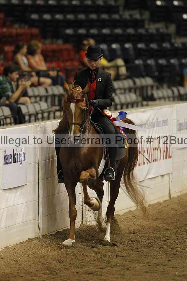 Proof 12buck_5266
