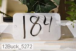 12buck_5272 proof