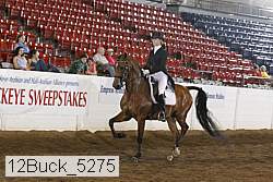 12buck_5275 proof