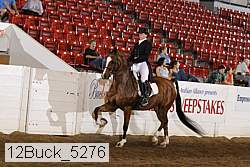 12buck_5276 proof