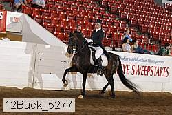 12buck_5277 proof