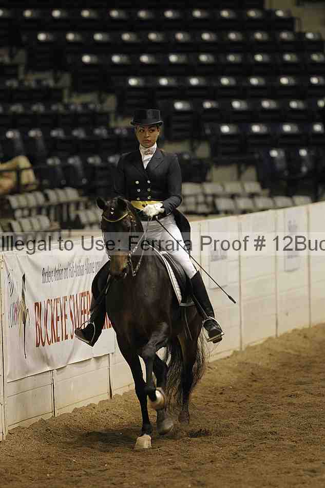 Proof 12buck_5284