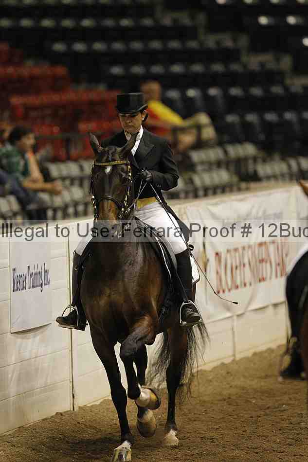 Proof 12buck_5286
