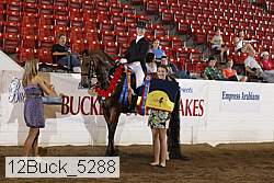 12buck_5288 proof