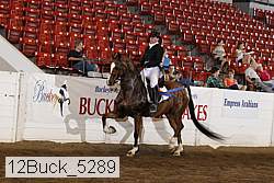 12buck_5289 proof