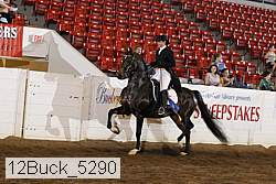 12buck_5290 proof