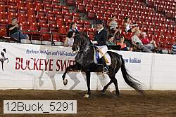 12buck_5291 proof