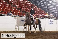 12buck_5292 proof