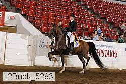 12buck_5293 proof