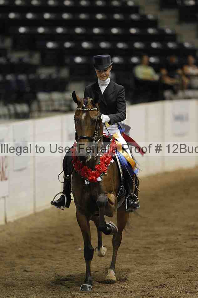 Proof 12buck_5302