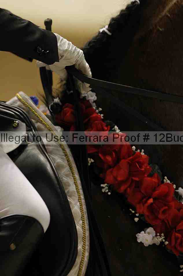 Proof 12buck_5305