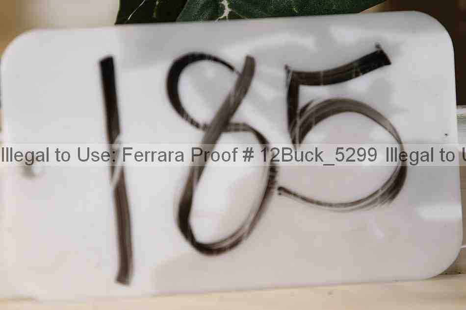 Proof 12buck_5299