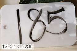 12buck_5299 proof