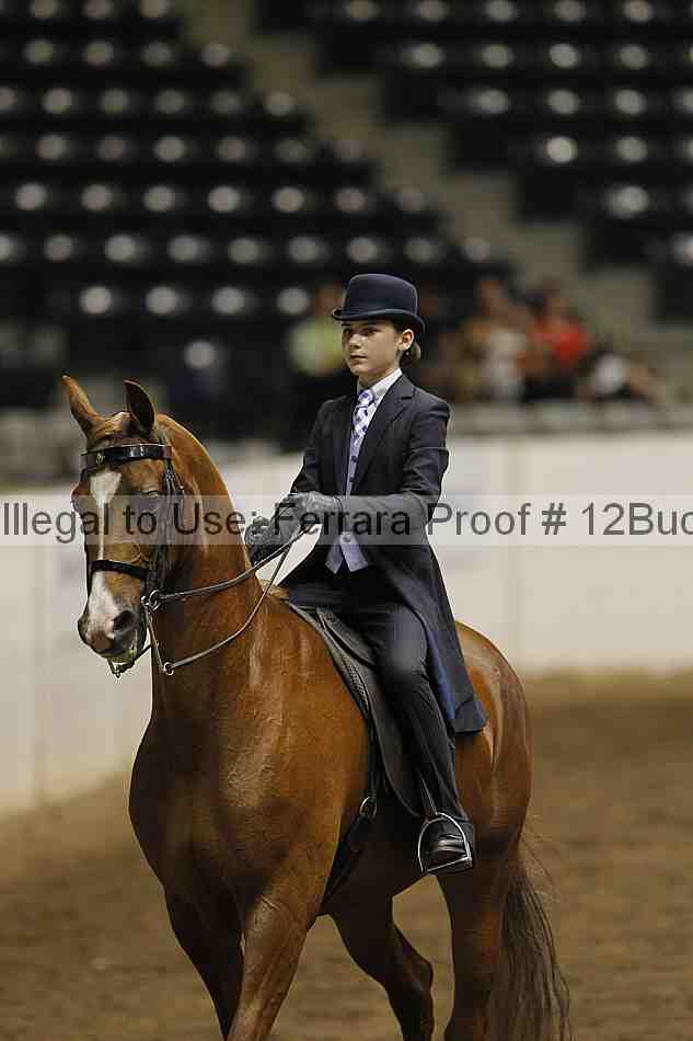 Proof 12buck_5306