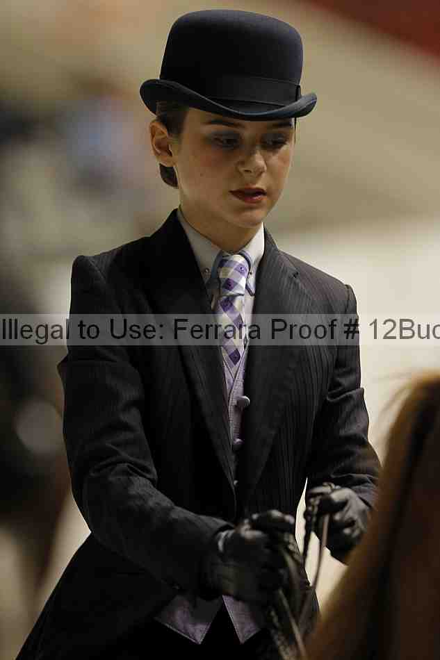 Proof 12buck_5307