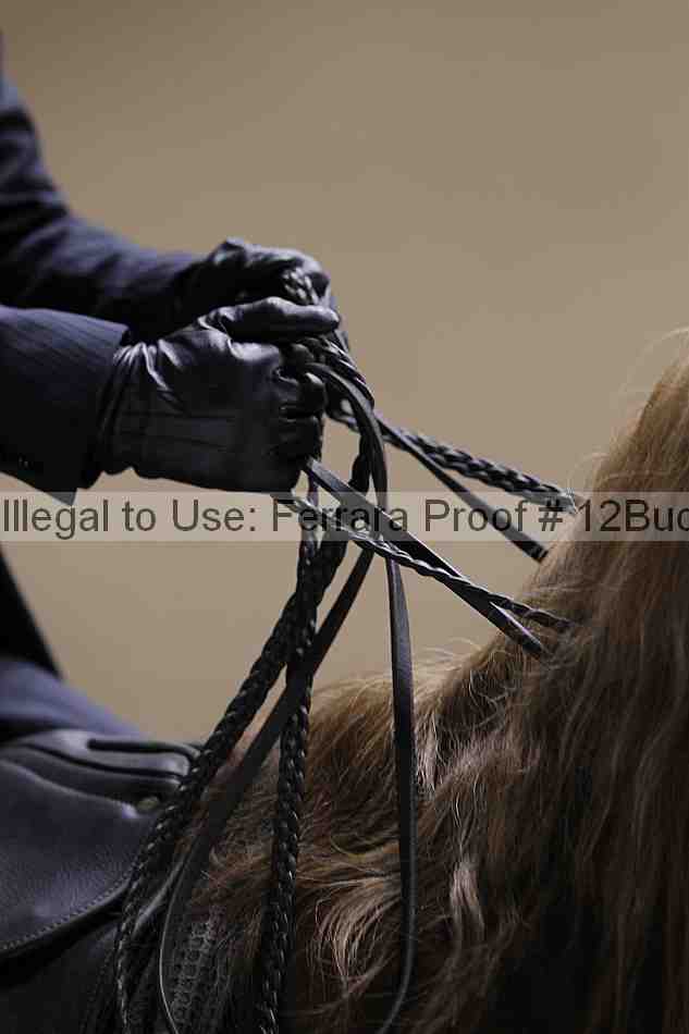 Proof 12buck_5308