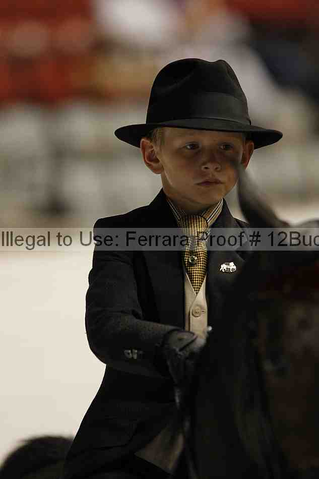 Proof 12buck_5310