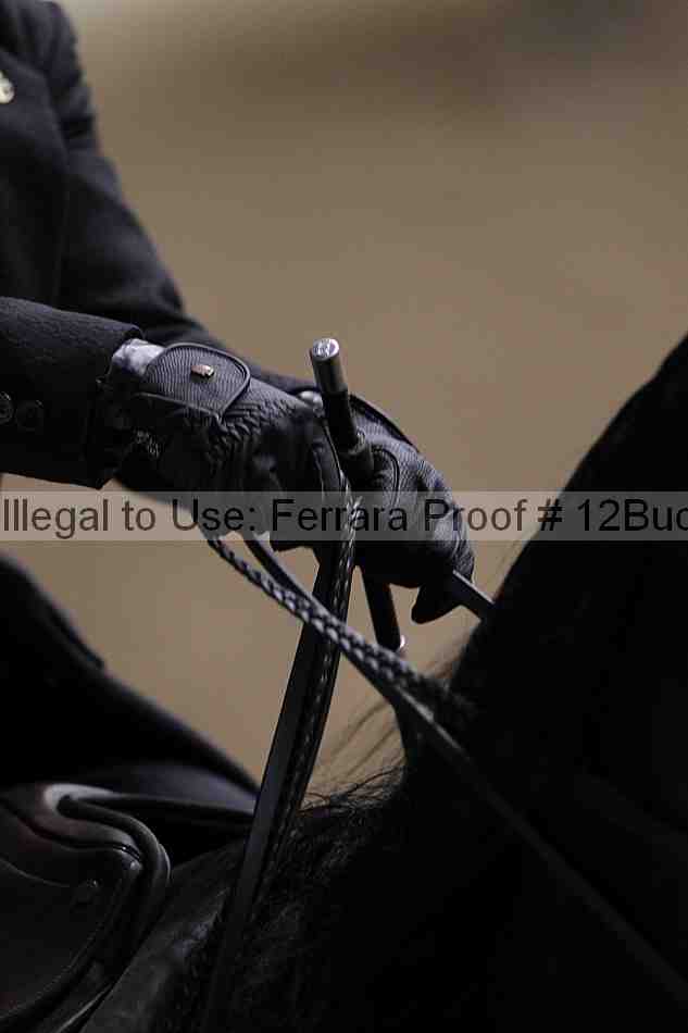 Proof 12buck_5311