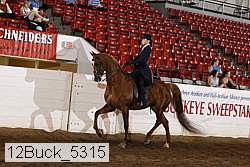 12buck_5315 proof