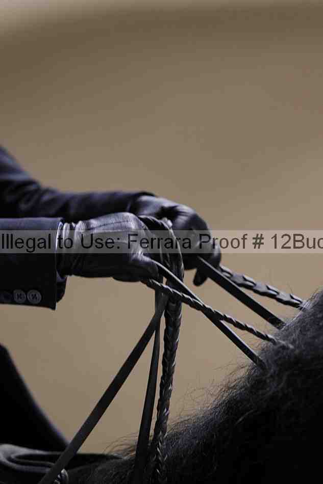Proof 12buck_5318
