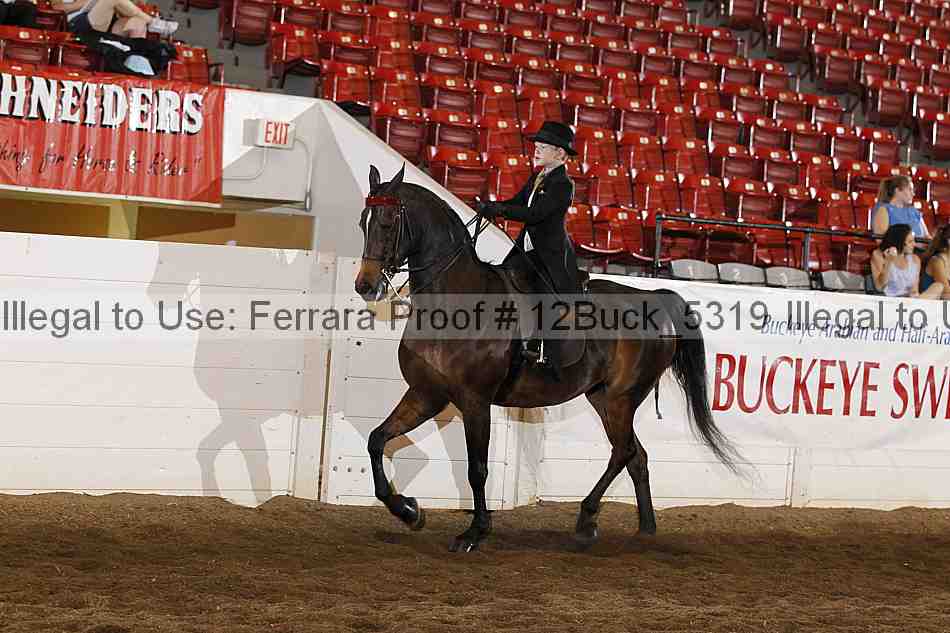 Proof 12buck_5319