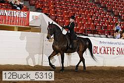 12buck_5319 proof