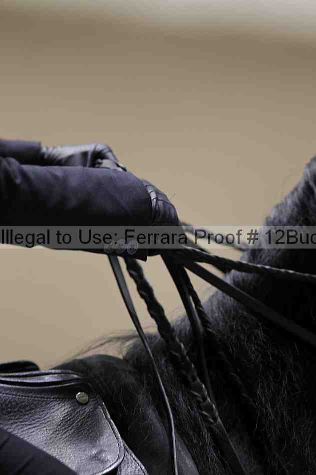 Proof 12buck_5320