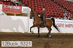 12buck_5321 proof