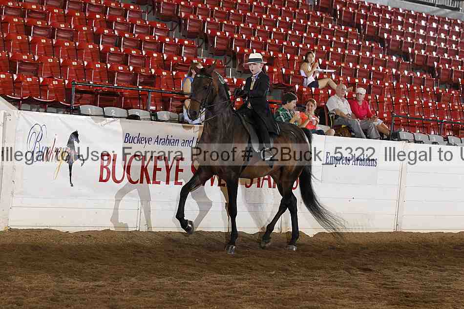 Proof 12buck_5322