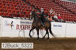 12buck_5322 proof